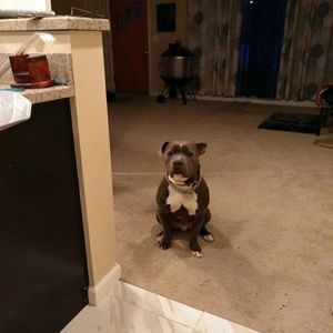 Meet your Posher, Courtney